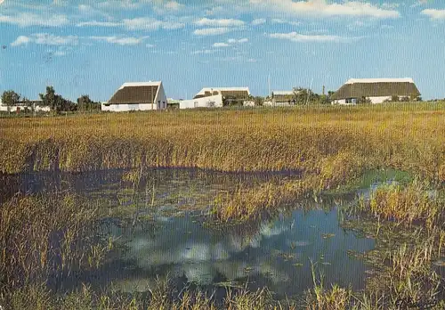 La Camargue ... glum 1950? G4765