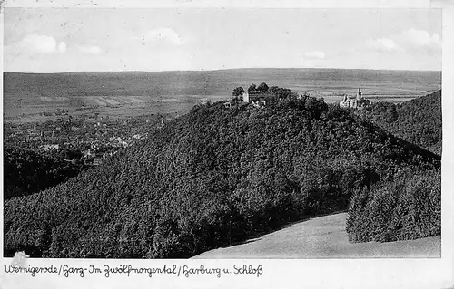 Wernigerode Im Zwölfmorgental gl1938 171.690