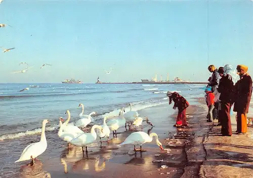 Rostock-Warnemünde Winter am Strand ngl 171.533