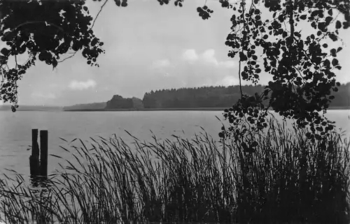 Am Scharmützelsee gl1959 167.975