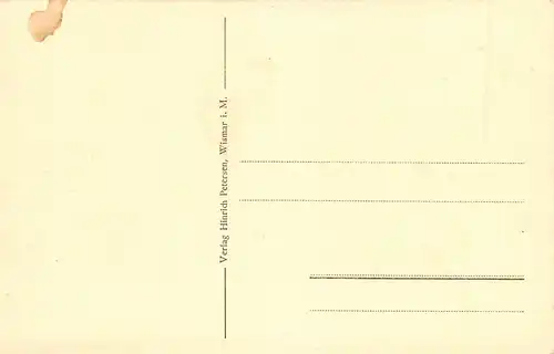 Wismar Gesamtansicht vom Ufer aus ngl 170.114