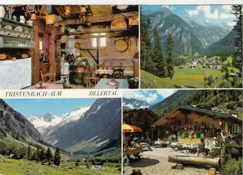 Floite, Zillertal in Tirol, Jausenstation Tristenbachalm, Mehrbildkarte ngl G5028