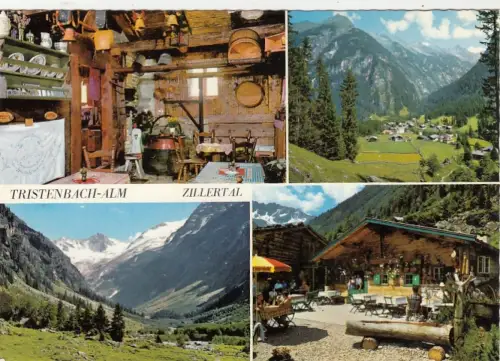 Floite, Zillertal in Tirol, Jausenstation Tristenbachalm, Mehrbildkarte ngl G5028