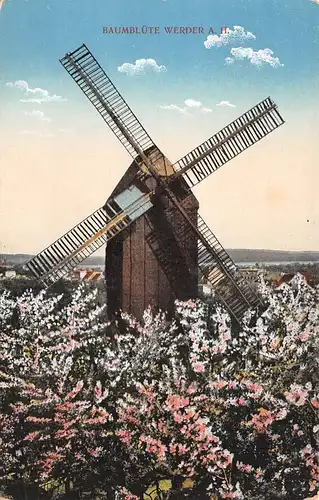 Werder/Havel Baumblüte ngl 168.262