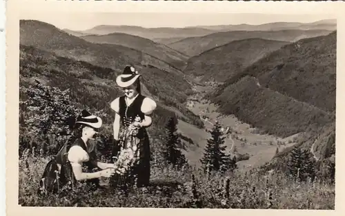 Schwarzwald, Blick ins Wiesetal ngl G6313