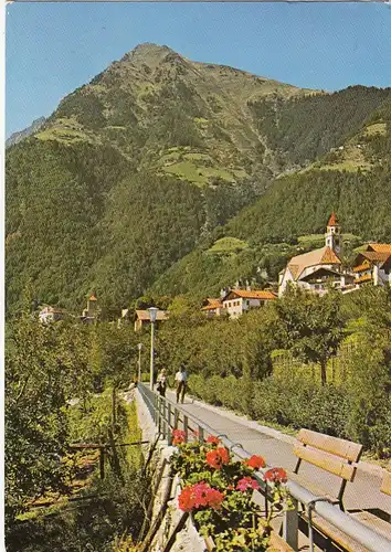 Dorf Tirol (Meran) H.Falkner Weg gl1961 G5413