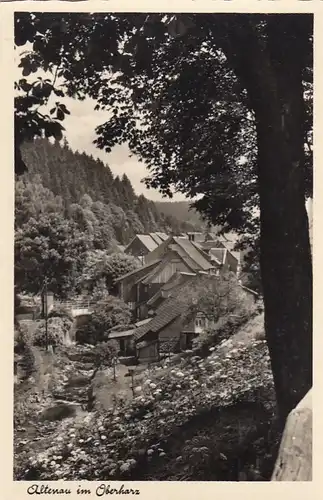 Altenau, Oberharz, Teilansicht ngl G5408