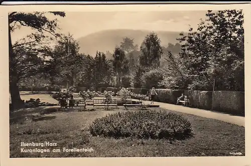 Ilsenburg, Harz, Kuranlagen am Forellenteich ngl G6413