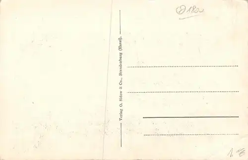 Brandenburg (Havel) Der Dom Westseite ngl 168.672