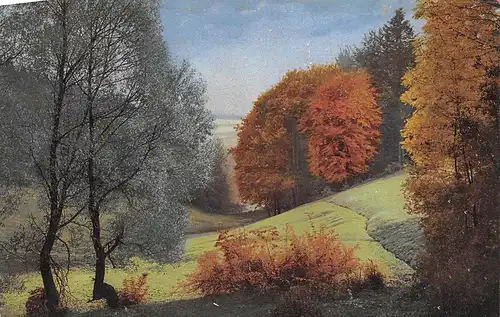 Partie in Wiesen und Wäldern ngl 170.279