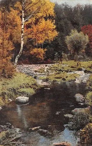 Partie am Fluss ngl 170.278