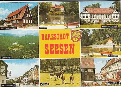 Seesen, Harz, Mehrbildkarte gl1977 G5707