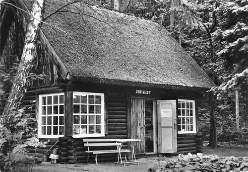 Stendenitz (Kreis Neuruppin) Waldmuseum gl1966 172.544