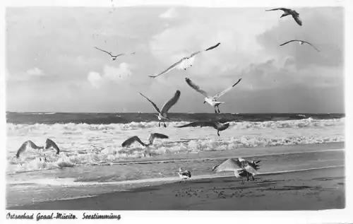 Ostseebad Graal-Müritz Seestimmung gl1960 172.557