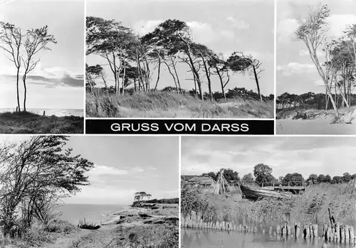 Ostseebad Prerow (Darß) Landschaftsansichten gl1981 169.805