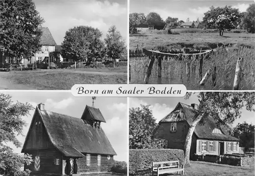 Born (Darß) Saaler Bodden Teilansichten ngl 169.856