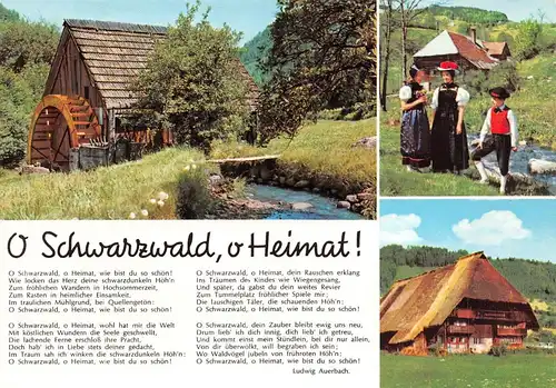 O Schwarzwald, o Heimat! ngl 170.842