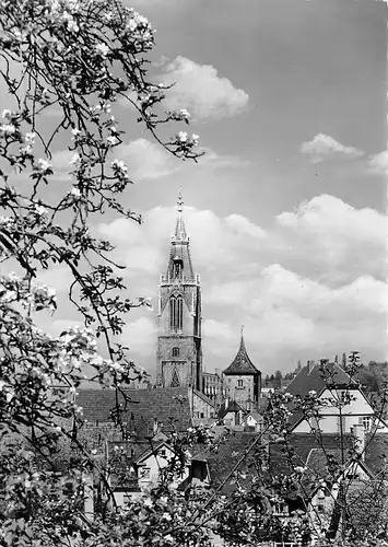 Reutlingen Blick von der Uhlandshöhe ngl 170.849