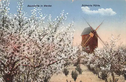 Werder (Havel) Schleichs Mühle Baumblüte gl1917 168.302