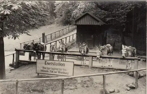 Eisenach, Wartburg-Eselstation ngl G6301