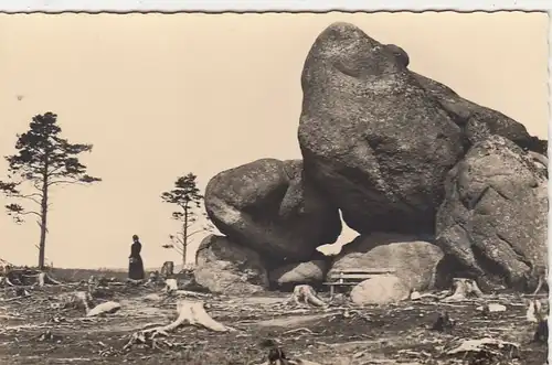 Ilsenburg, Harz, Der Froschfels ngl G6414