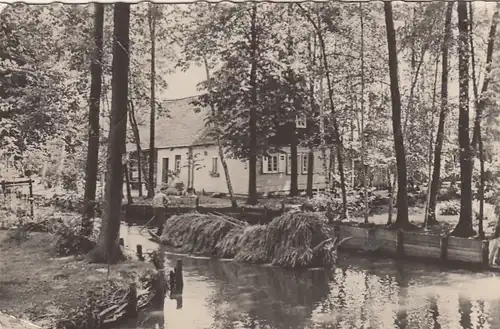 Spreewald, Lehde, Schiffsverkehr glum 1960? G6607