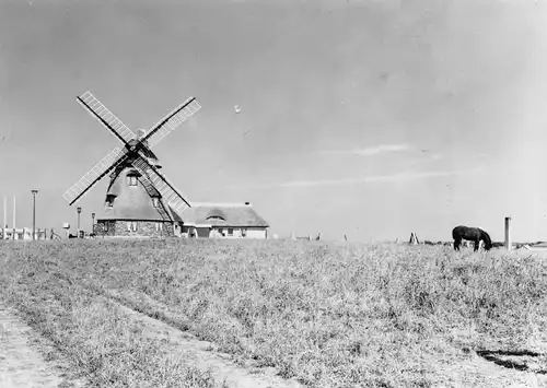 Groß Stieten (Kreis Wismar) Gaststätte Mecklenburger Mühle ngl 172.255