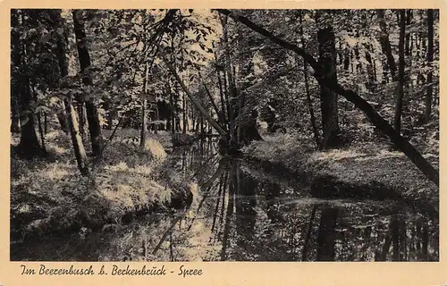 Im Beerenbusch bei Berkenbruck Spreepartie ngl 167.968