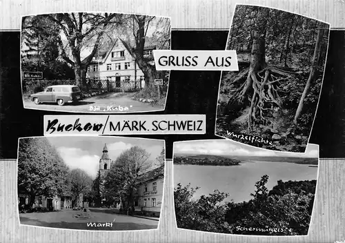 Buckow Markt Kuba Wurzelfichte glca.1970 168.081