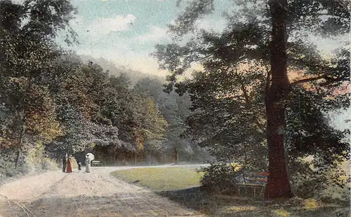 Bad Suderode/Harz Partie am Wege nach dem Felsenkeller gl1914 172.439