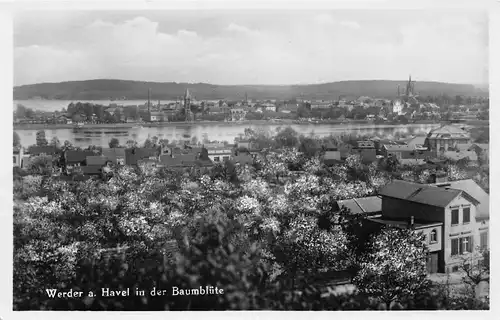 Werder/Havel Baumblüte und Panorama gl1931 168.265