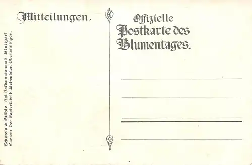 Zur Erinnerung an die Silberhochzeit des Württ. Königspaares 1911 ngl 170.568