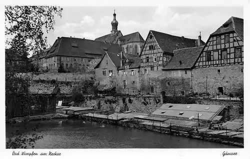 Bad Wimpfen Gänssee ngl 170.647