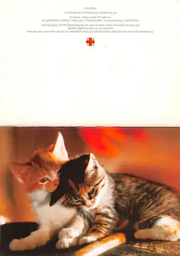 Zwei Katzen: Klappkarte ngl 171.145