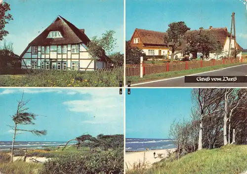 Gruß vom Darß - Wieck Born glca.1980 172.195