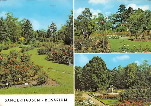 Sangerhausen Rosarium gl1976 172.469