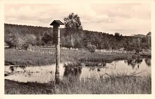 Neckarursprung im Schwenninger Moos ngl 171.033