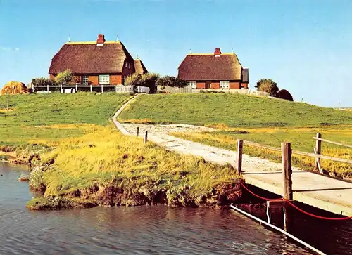 Hallig Hooge ngl 169.460