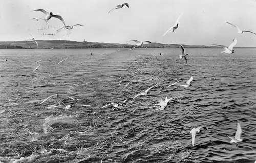 Hiddensee Möwenspiel gl1959 169.762