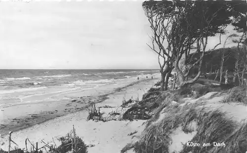 Ostseebad Prerow Küste am Darß glca.1970 169.837