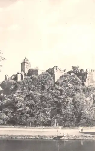 Halle a.S. Burg Giebichenstein von Westen ngl 171.748