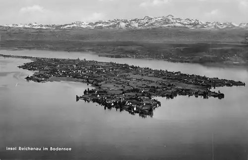 Insel Reichenau (Bodensee) Panorama gl1954 170.985