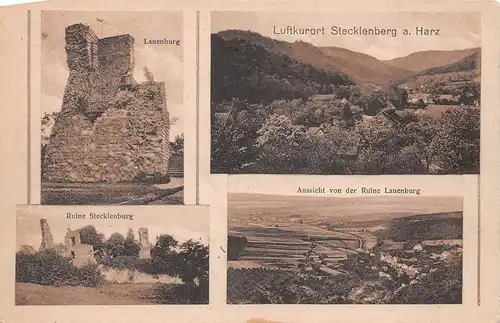 Stecklenberg (Harz) Ruine Lauenburg Panorama ngl 171.793