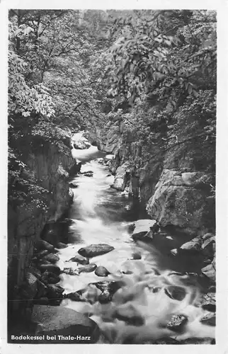 Thale Bodekessel gl1953 171.820