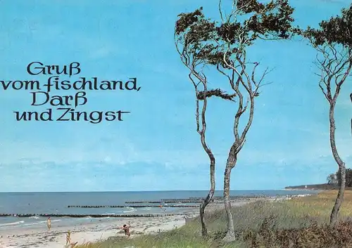 Born (Darß) Gruß vom Fischland, Darß, Zingst glca.1990 169.844