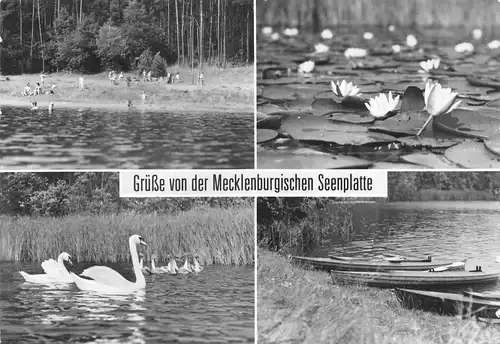 Grüße von der Mecklenburgischen Seenplatte glca.1980 170.109