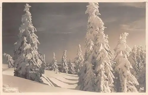Wintersonne im Schwarzwald gl1933 170.541