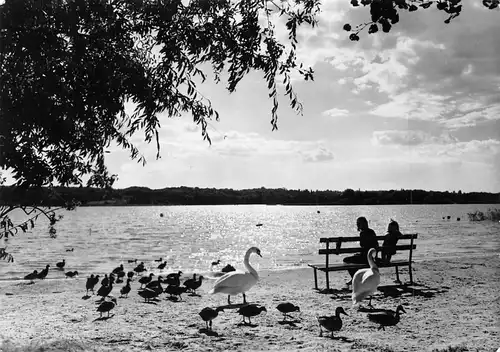 Werder/Havel Glindower See am Zeltplatz Riegelspitze gl1979 172.086