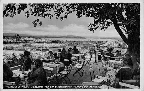 Werder/Havel Panorama von der Bismarckhöhe Baumblüte ngl 172.095