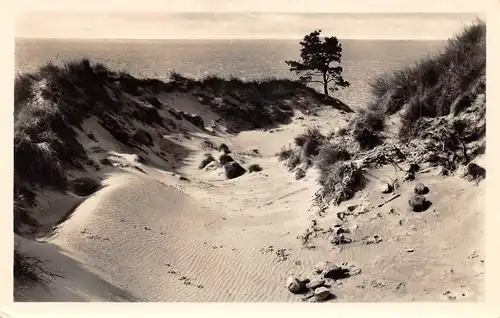 Insel Rügen Dünen am Bakenberg gl1957 171.498